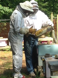 Peter and bee hive 071714
