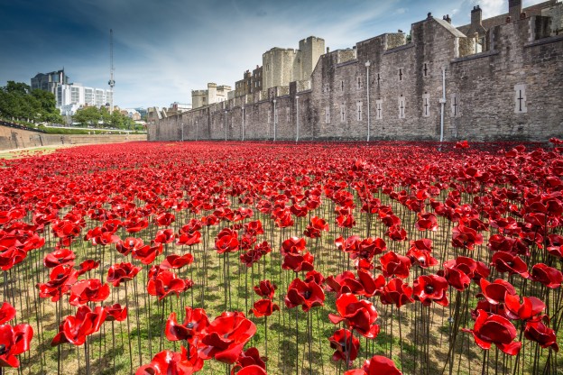 London Poppies
