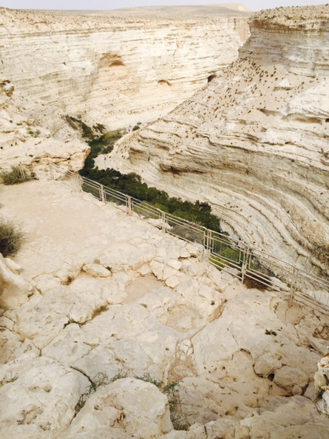 Into the Negev